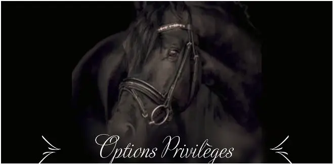 Cheval noire options privilèges